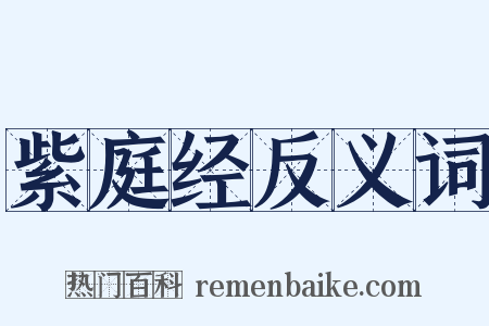 紫庭经反义词是什么意思的图片